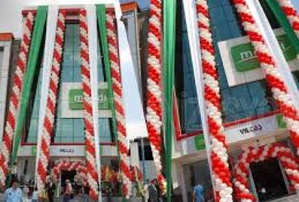 AÇILIŞ ORGANİZASYONU